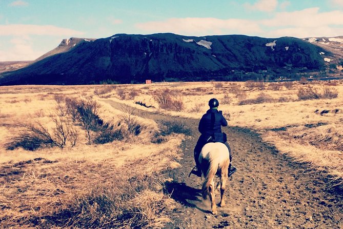 2 Hours Private Horse Riding to Lake Hafravatn, Reykjavík - Mos - Good To Know