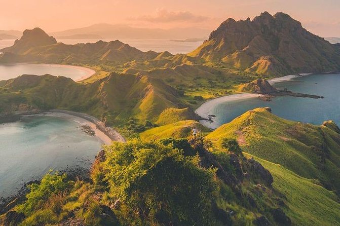 1 Day Komodo Trip By Shared Luxury Fast Boat - Detailed Itinerary