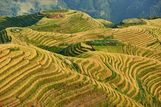 1-DAY Private Longji Rice Terraces and Minority Villages Tour - Pickup Locations and Timing