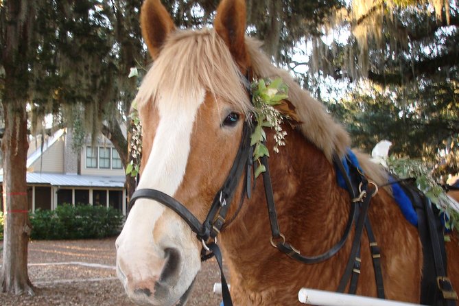 #1 Historical Horse Drawn Carriage Tour - Historical Significance