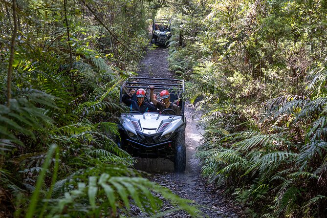 1 Hour Enchanted Forest Track - BUGGIES - Age Requirements