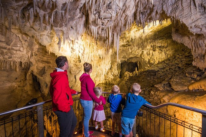 1-Hour Guided Tour of Aranui Cave Waitomo - Unique Wildlife Encounters