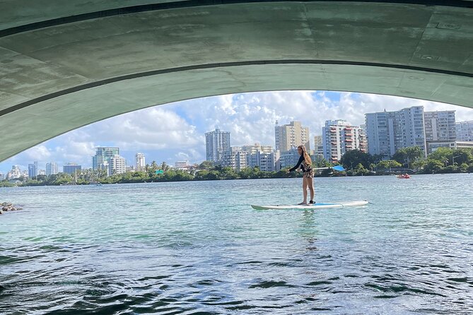 1-Hour Paddle Board in Condado Lagoon - Wildlife Encounters