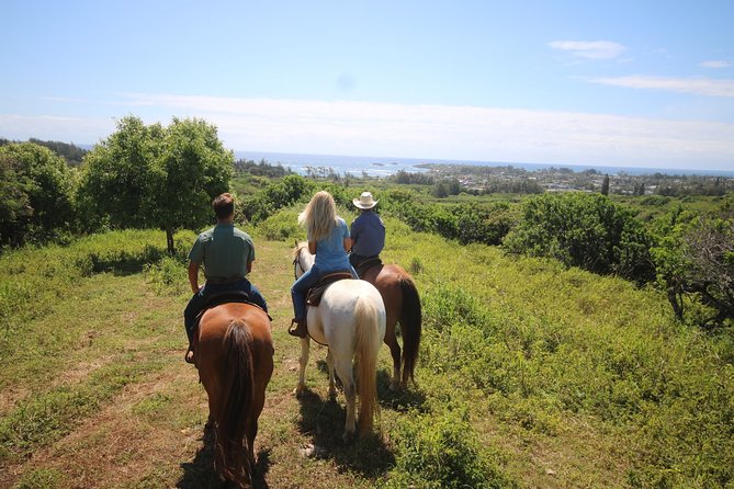 1 Hour Scenic Horseback Ride - Meeting and Pickup Information