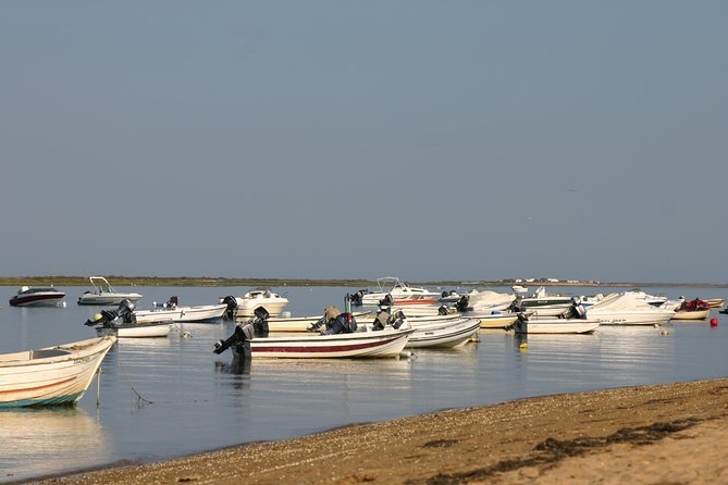 1 or 2 Hour Speed Boat Tour - Ria Formosa - Inclusions and Accessibility