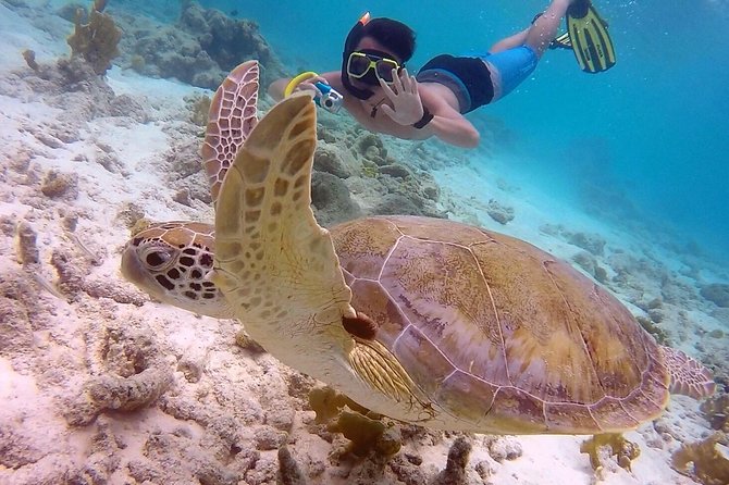 100% Private Snorkel & Sail Charter (Cruisefriendly) - Guest Participation