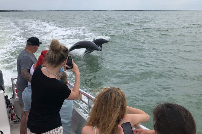 10,000 Islands Excursion Small-Group 3.5 Hour Dolphin & Shelling Boat Tour - Highlights of the Experience
