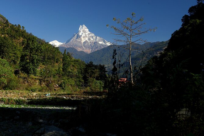 12-DAY Nepal Adventure Trek With Jungle Safari - Detailed Itinerary