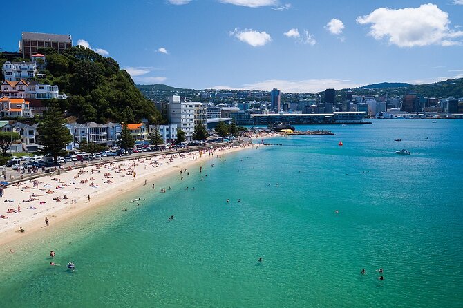 15-Minute Wellington Harbour Helicopter Flight - Key Highlights