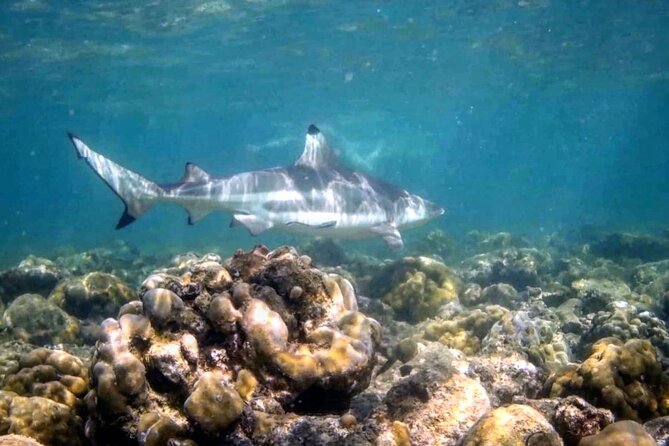 2 Day Beginner Dive Course PADI Open Water Course Phi Phi Island - Included Amenities