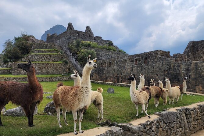 2-Day Inca Trail To Machu Picchu - Highlights of the Journey