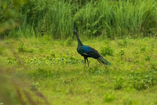 2-Day Trekking & Biking Nam Cat Tien National Park From HCM City - Inclusions and Exclusions