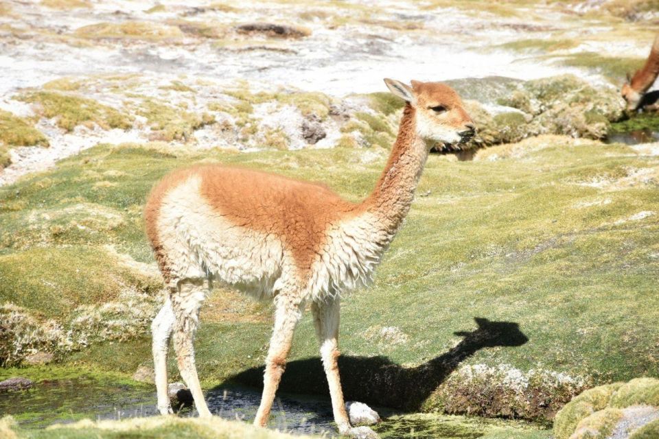 2-Days Round-Trip From Chile to Uyuni Salt Flats - Detailed Itinerary