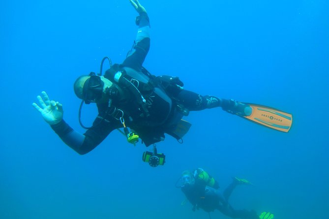 2 Dives Trip - Unraveling Albufeiras Marine Ecosystem