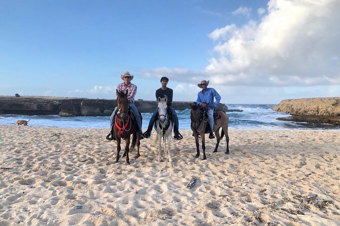 2-Hour Horseback Riding Tour to Little Natural Bridge in Aruba - Health and Safety Guidelines