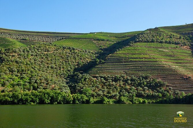 2-Hour Rabelo Boat Tour in Pinhão - Scenic Experience