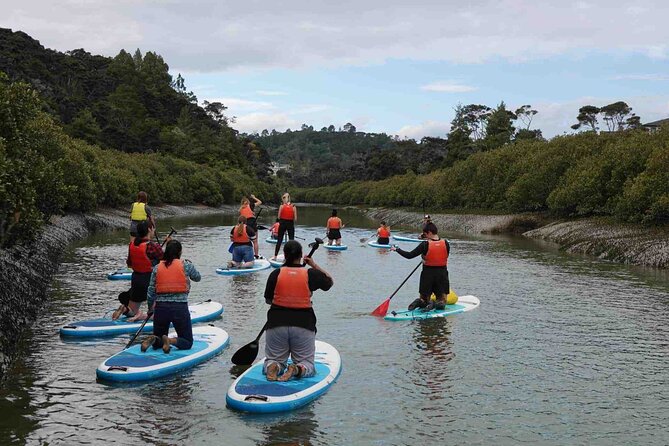 2-Hour Stand-Up Paddle Boarding Tour to Lucas Creek Waterfall - Whats Included