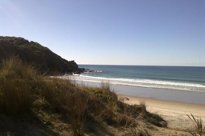 2 Hour Surf Lesson - Te Arai Beach - Meeting Location