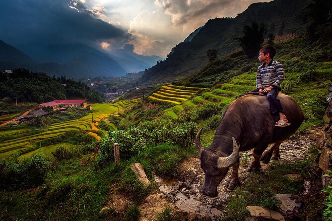 2D1N Buffalo Trek by Hmong Sister House and Trekking - Schedule and Operating Hours