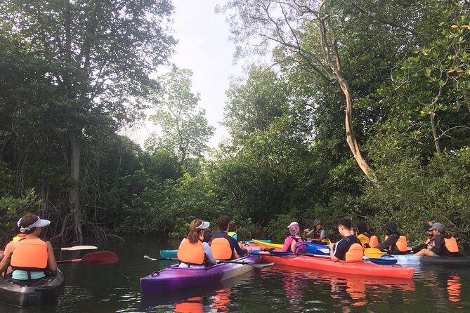 3-4 Hours Mangrove Kayaking Tour - Whats Included