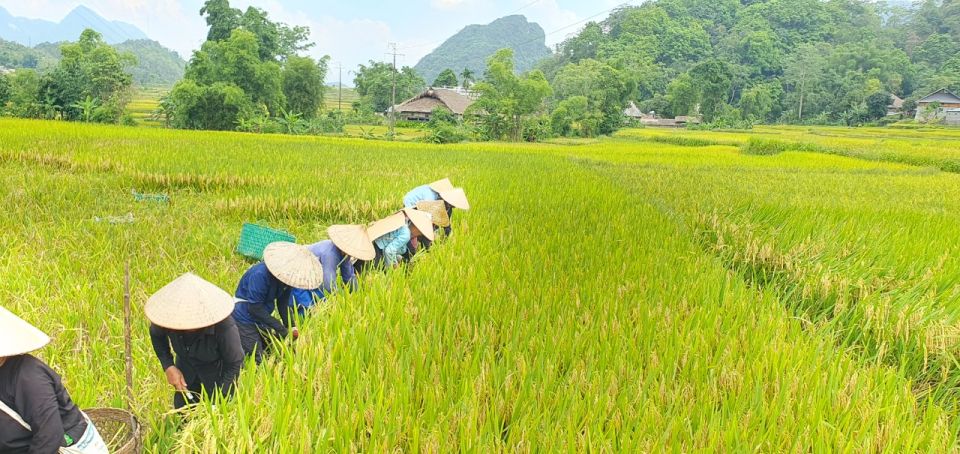 3-Day Amazing Ha Giang Loop Self-Riding Motorbike - Itinerary Breakdown