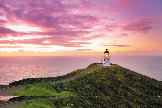 3 Day Bay of Islands Tour From Auckland Including Waitangi and Cape Reinga - Day 1 Highlights