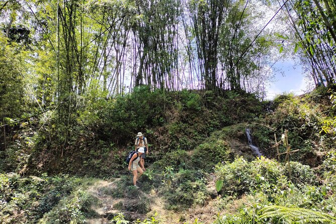 3-Day Trek in Amazing Muong Hoa Valley & Ethnic Homestay - Meals Included in the Trek