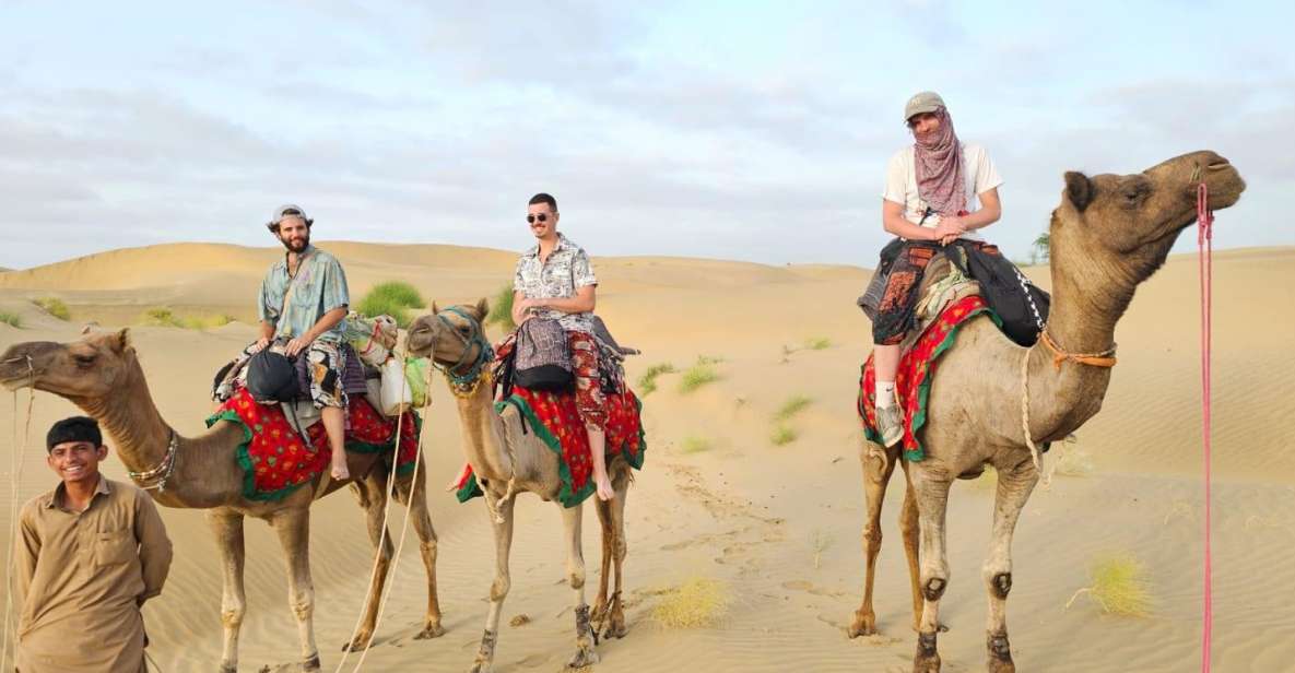 3 Days Camel & Desert Safari With Overnight Desert Camping - Itinerary Highlights