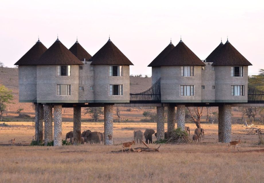 3 Days Safari to Saltlick Lodge From Nairobi - Transportation and Pickup Details