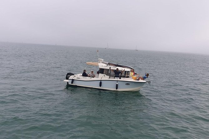 3-Hour Boat Ride Through the Bay of Cadiz - Whats Included in the Tour