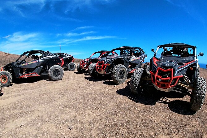 3 Hour Guided Buggy Tour Around the Island of Lanzarote - Vehicle Details and Safety