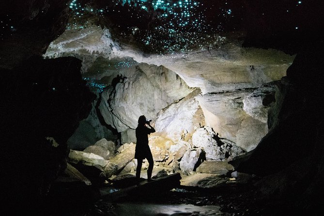 3-Hour Private Photography Tour in Waitomo Caves - Highlights of the Experience