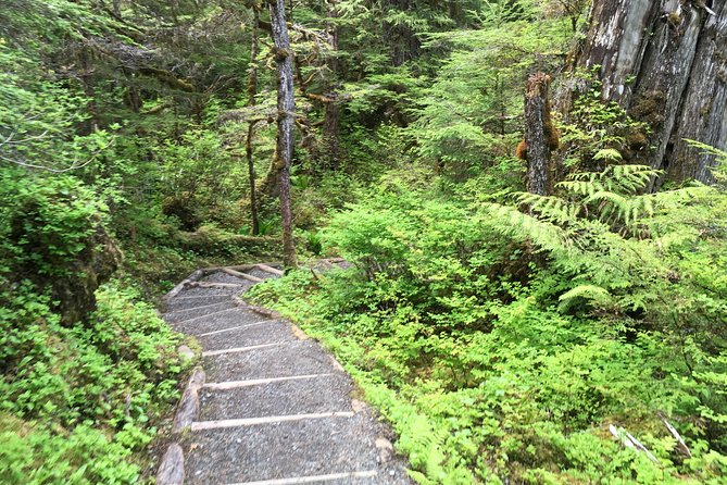 3 Hour Rainforest Walk & Totem Park Wild Wolf Tours - Meeting and Pickup Details