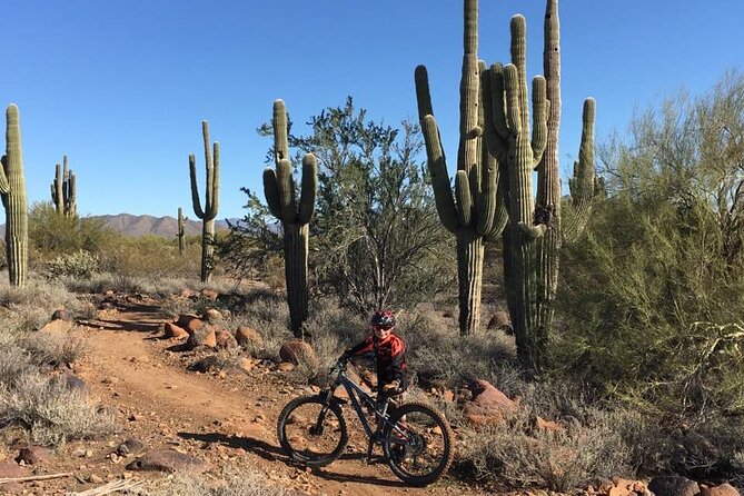 3 Hour Sonoran Desert Private Guided Mountain Bike Tour - Included Amenities