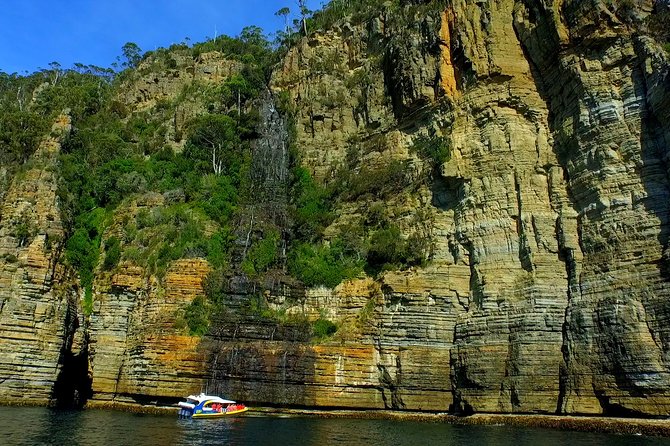 3 hour tasman peninsula wilderness cruise from port arthur