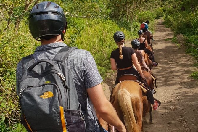 3 Hours Horseback Riding From Nature Trails to Sofa Stone - Health and Safety Guidelines