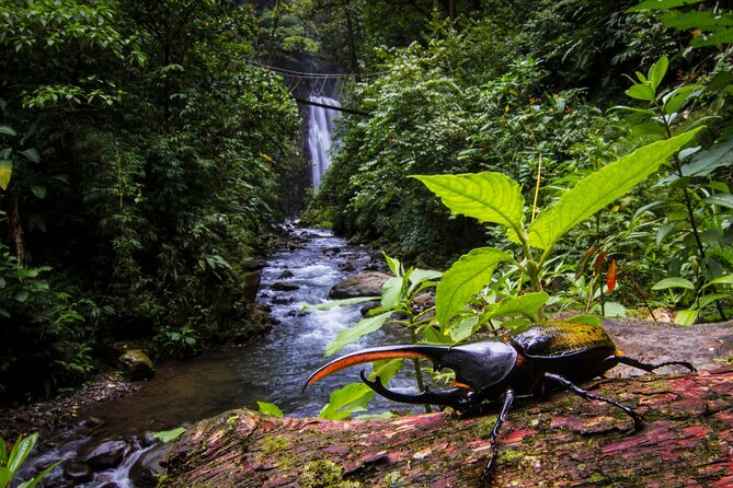 3-in-1 Monteverde Cloud Forest Waterfalls, Wild Trekking and Horseback Riding - Health and Safety Precautions