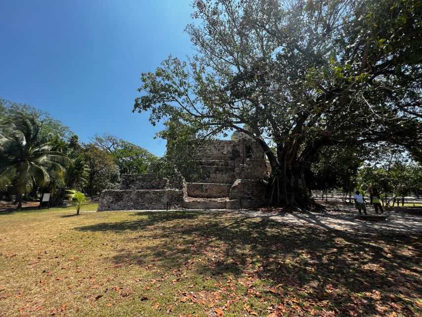 3 in 1 Snorkeling, Parasailing, With Meco Ruins Free - Snorkeling Highlights