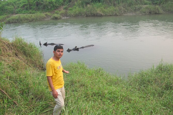 3 Nights 4 Days Chitwan National Park With Tower Night Stay - Transportation Arrangements