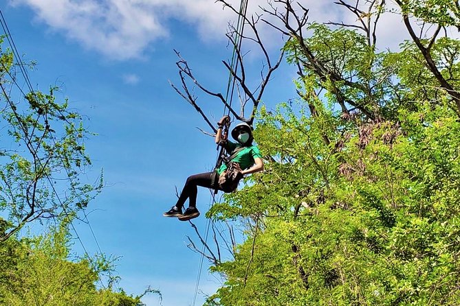 3 Zipline Tour Oahu (1 Hour) - Safety Measures