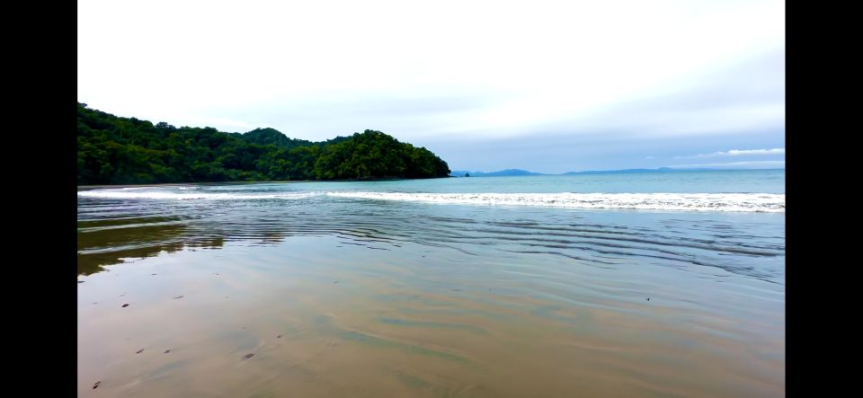 4 Days Adventure; Medellin to Nuqui- Whales!!! - Travel Itinerary Details