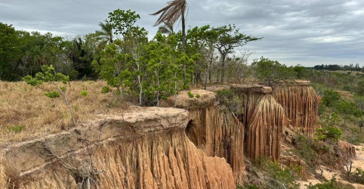4- Hour Hiking Tour in Two Different Tropical Worlds - Hiking Experience