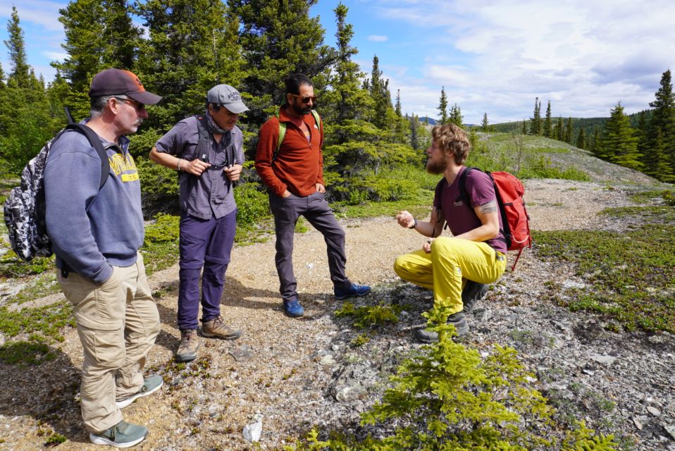 4 Hour Off-Trail Wilderness Wonders Tour in Denali - Learning About Edible Plants