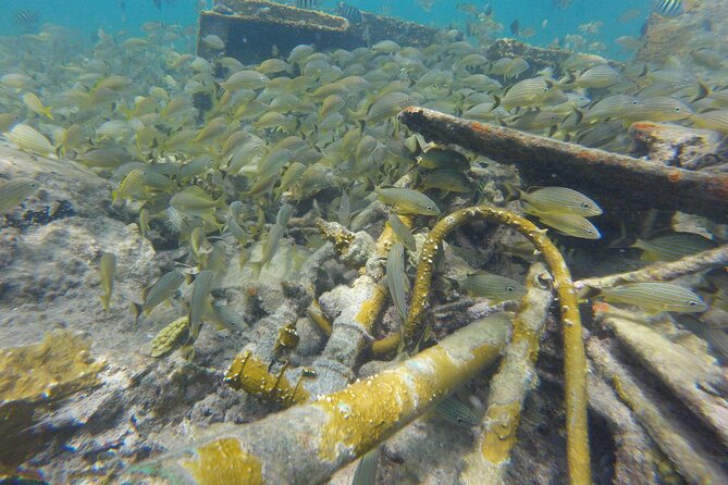 4 Hour Private Sandy Cay Experience With Snorkeling - Adults Only - Meeting and Pickup Details