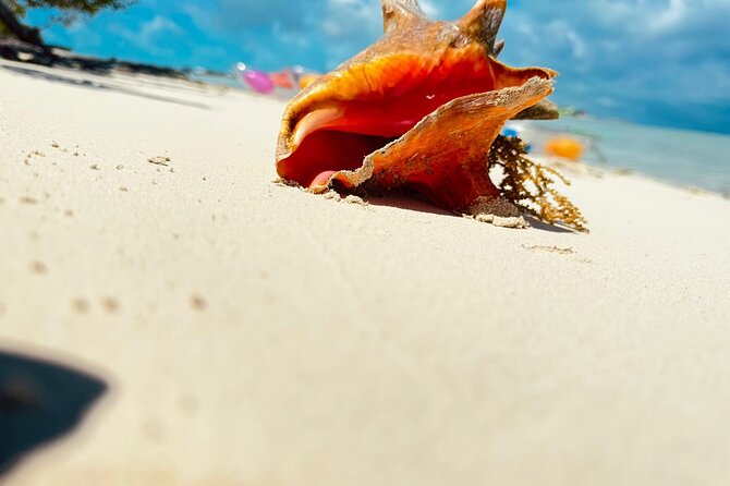 4HR Private Half-day Boat in Gracebay - Booking Details