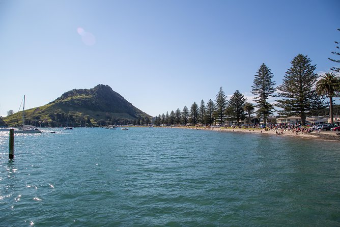 4hr Shore Excursion - History and Tasting Tour FREE Kiwifruit Tasting - Highlights of the Tour