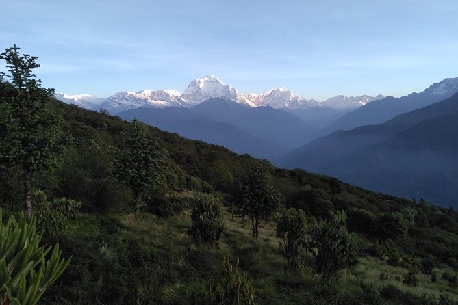 4Nights 5Days PoonHill Trek - Itinerary Breakdown