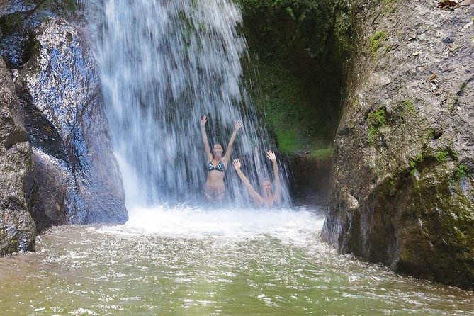 4x4 Jungle Safari to Waterfall & Delicious Rainforest Lunch - Itinerary Highlights
