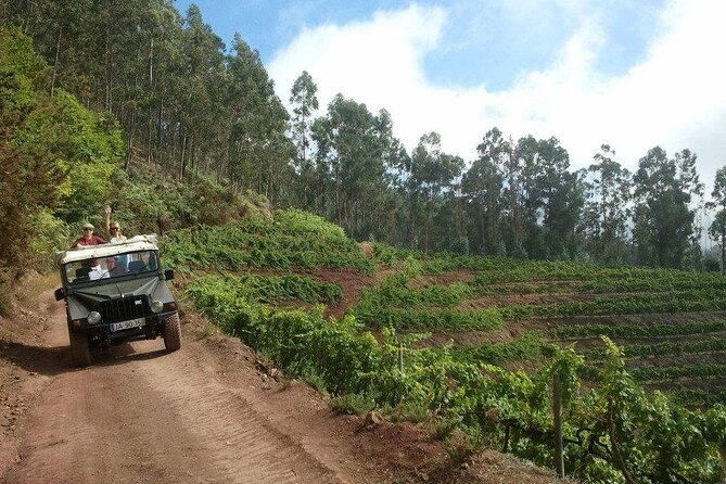 4x4 Safari Half Day Poncha, Mountains, Vineyards and Cabo Girão Small Group - Itinerary Overview