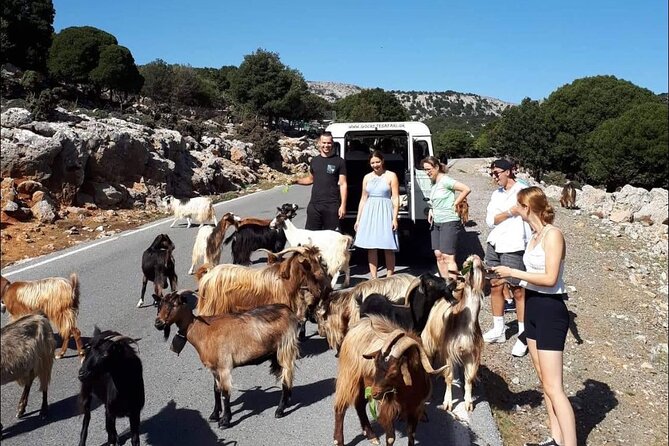 4x4 Safari Tour South Crete Agiofarago Matala - Transportation Options